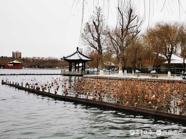 雪后水墨雅韵大明湖，简洁唯美让人贪恋