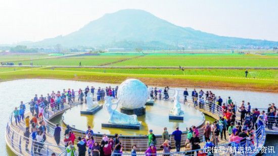 老年|漳州水仙花海成新晋“网红”日均游客量超6万人