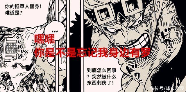 大妈|海贼王1022话:罗解除基德身上的诅咒，霍金斯叛变，大妈成牺牲品