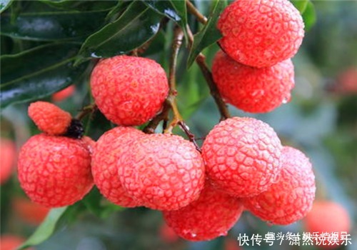 贝母|女性不想子宫“脏脏的”，天冷后多食它，排出毒素，滋养女性子宫