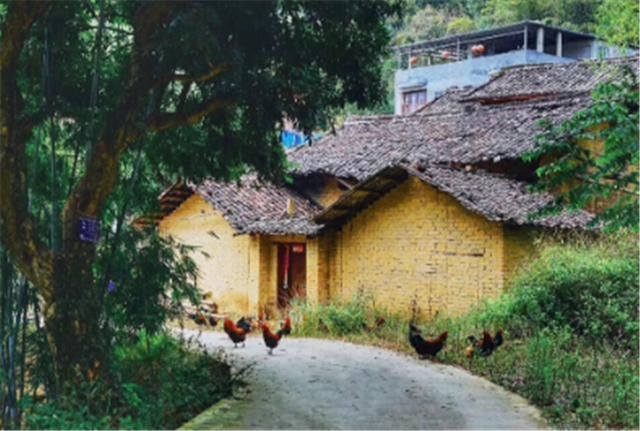 姑娘|姑娘在农村自己建房改造,1年后独享3层300㎡洋房!太羡慕了