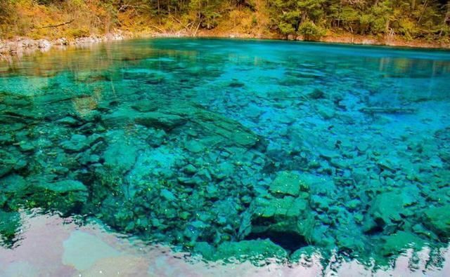 焦距|九寨沟名扬四海，但不适合走马观花，请跟随镜头仔细看看