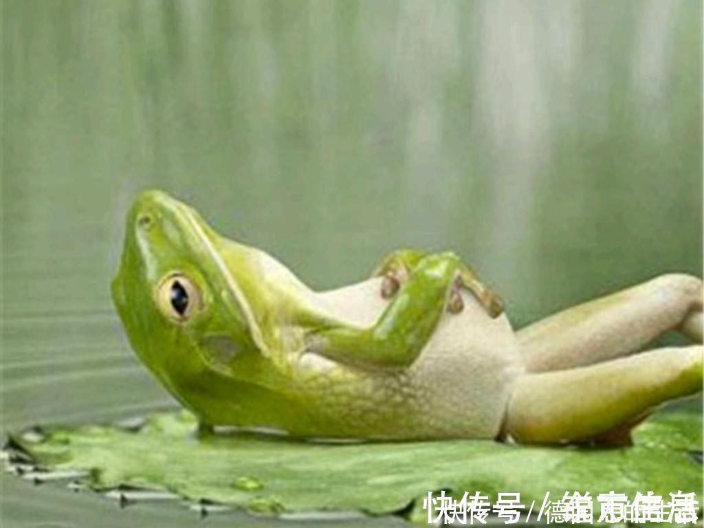 |搞笑趣图:当我尝试解开试卷上的问题VS当我玩游戏为角色配装备……