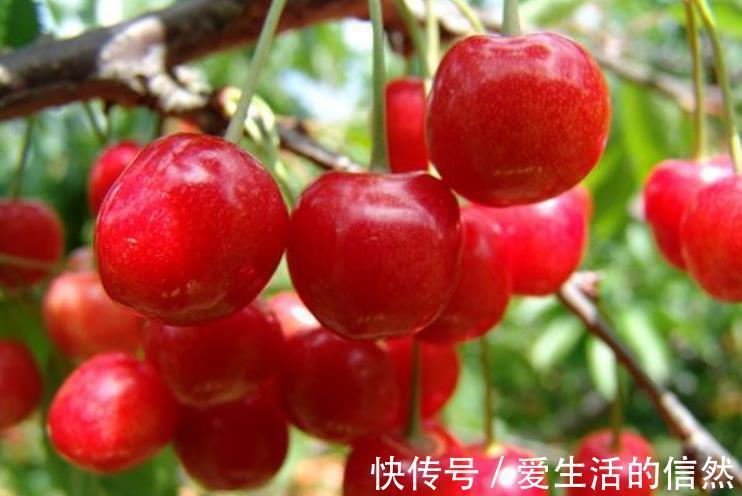 石榴|提醒:血糖偏高的人,平时常吃这4种水果,或有助于稳定血糖