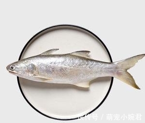 闽南最好的六种海鱼，午笋排第一，只要用豆豉，便能炣出美味