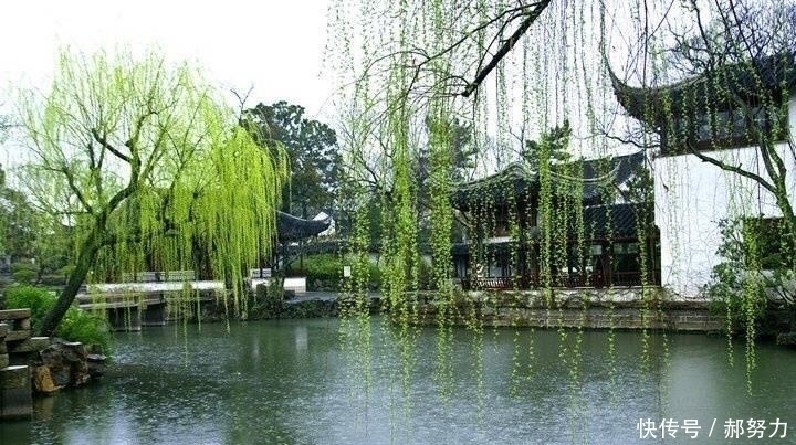 千古名句!杜甫别有风神的一首咏梅诗,誉为古今咏梅第一,末二句成千古名句