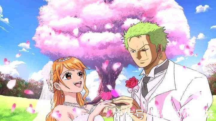 索隆|海贼王官方情报:“三刀流”娜美登场!身材火辣,索隆的新老婆