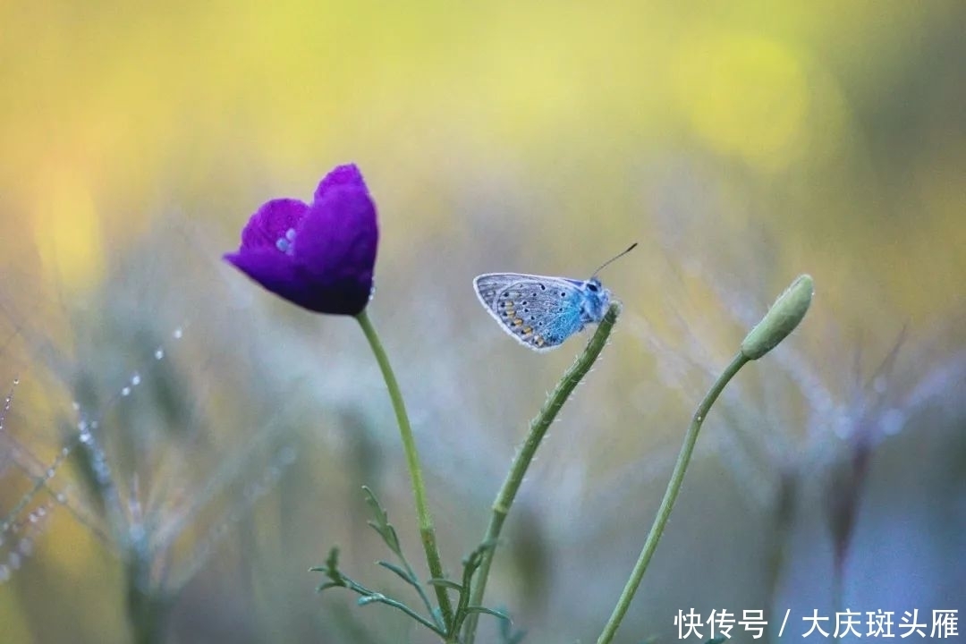  尊重|尊重（写得真好）