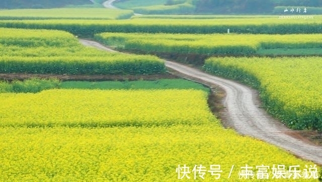 油菜花海|这个小县，竟然集中国最美峰林、最美瀑布、最美油菜花海于一身！