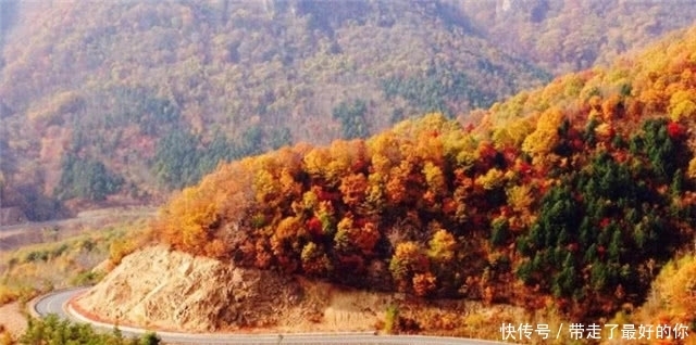 秋日读诗：繁霜尽是心头血，洒向千峰秋叶丹