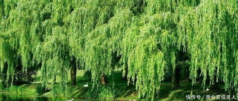 诗人#无名氏写下一首送别诗,对唐诗产生了巨大的影响,很多人都引用过