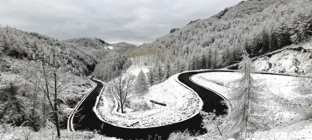 雪天|一到雪天，李家就美成了壁纸！