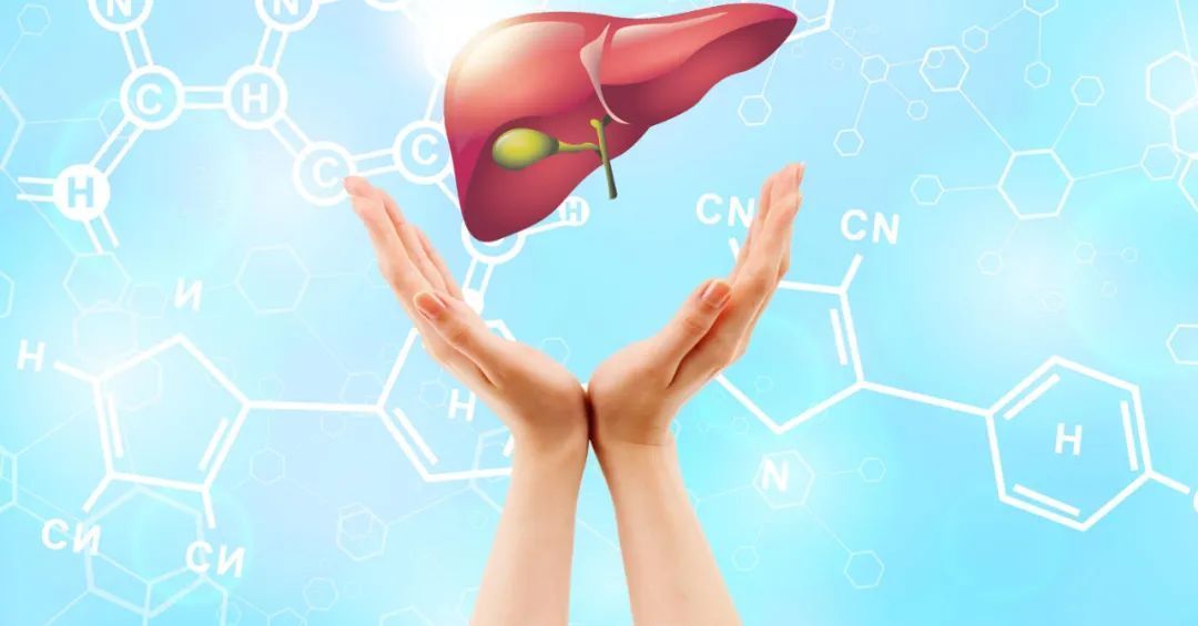 是真的吗|苦瓜具有养肝的功效?医生:想要养护肝脏健康,这些食物可常吃