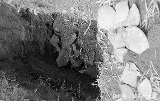 皇家藏品|奇葩!民国时农民是怎么盗墓的?