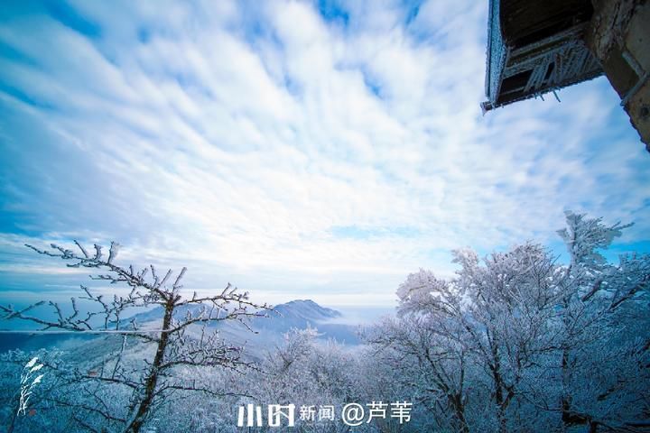 摄友|你在北方的冬天里看雪景，我在南方的冬天里看秋景