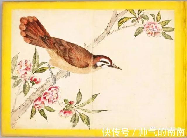 画谱！《百花鸟图》选页欣赏