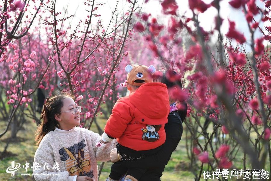 踏青赏梅 享受春光「组图」