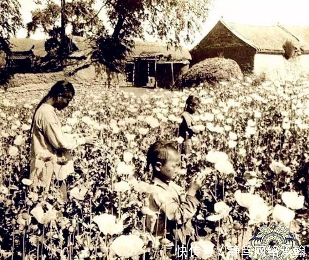 吸食|老照片：吸食鸦片的清朝人，女子床上迷迷糊糊，男子瘦成皮包骨头