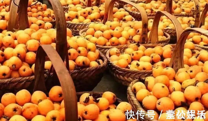 多汁|干咳的人多吃枇杷,买时别在意大小,记住4点,核小肉多汁水足