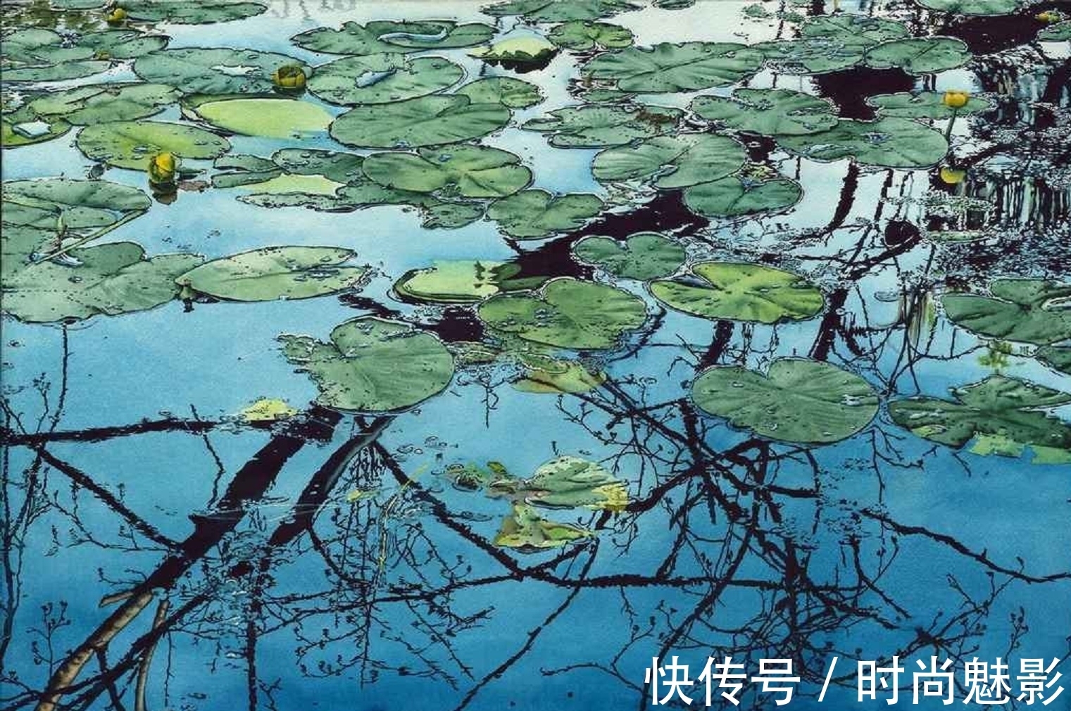 超写实艺术!笔下生幻境,水彩也疯狂——斯塔琴科令人赞叹的超写实艺术