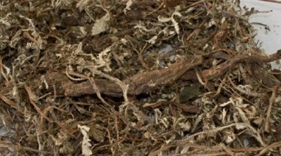 鸡蛋草|“鸡蛋草”发现这种草的话不要扔了, 药用价值很高