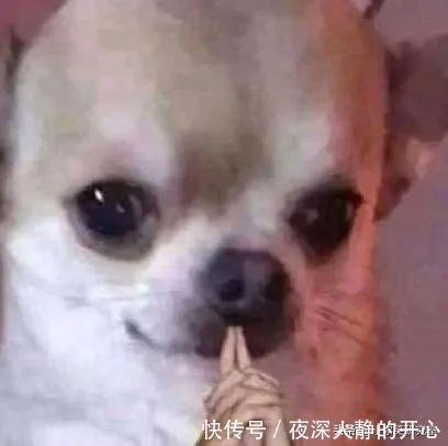 中元节|千万别随便在淘宝乱搜索，哈哈沙雕卖家想笑死我啊