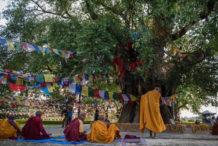 诗人|心灵的翱翔——浅论画家诗人周逢俊的诗