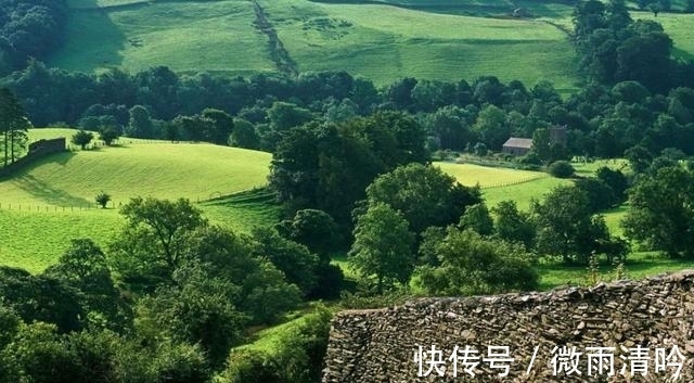 收获|未来十天，桃花运来势汹汹，爱情一触即发，最终收获真爱的生肖