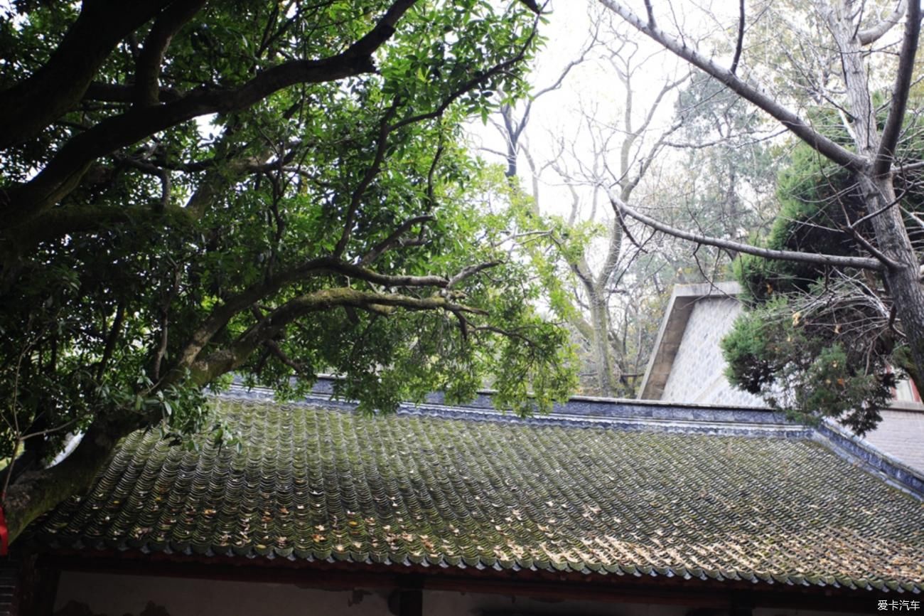 镇平菩提寺