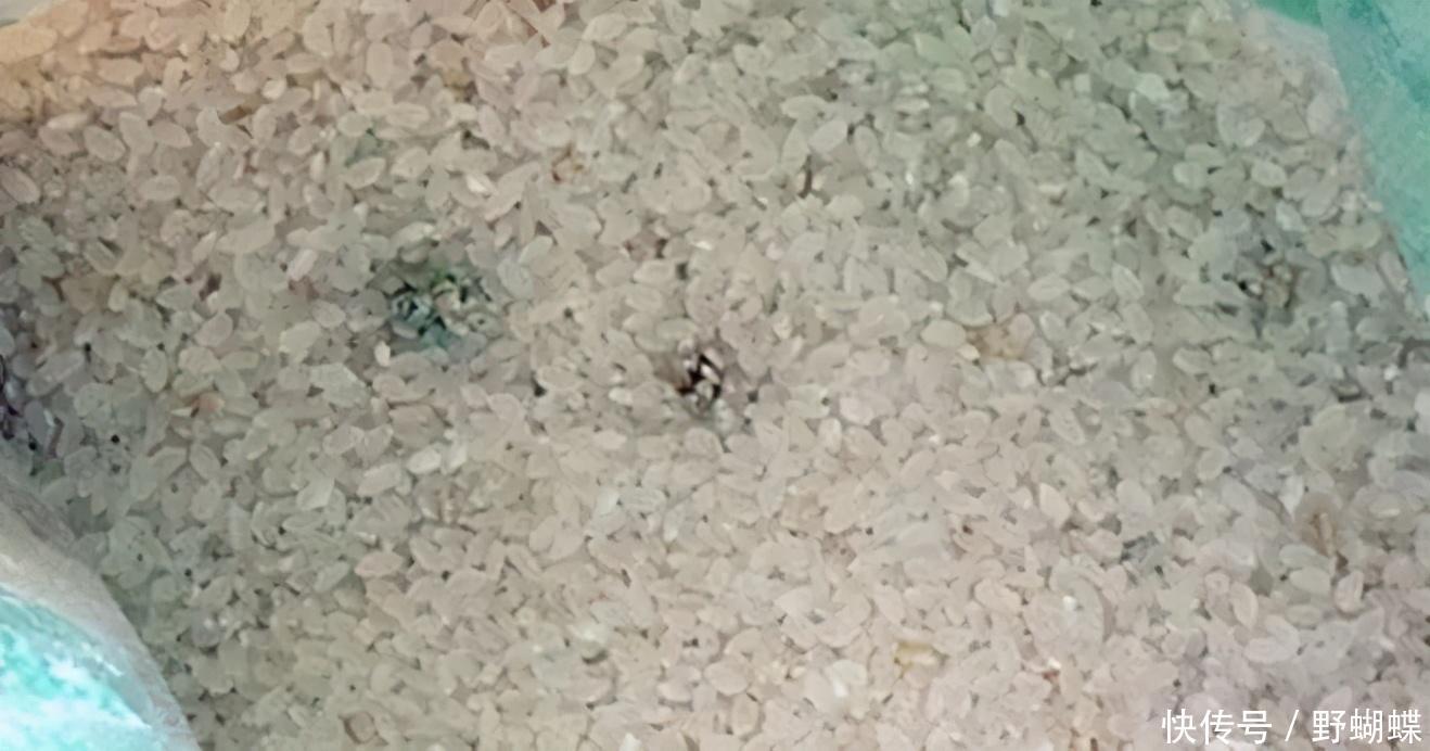 小王|33岁男子,突然晕倒,2个月后离世,这东西闻着越香,其实越毒