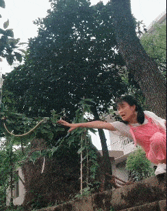 |搞笑GIF:盘了三年的老馒头,看看这硬度还可以吧!