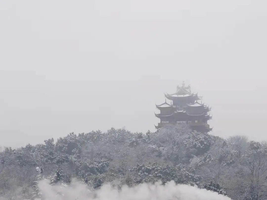 雨雪|此刻的杭州，太美了吧！