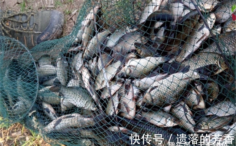 浮漂|冬钓5大“禁忌”,冬季钓鱼空军原因很多,5点至少占了9成!