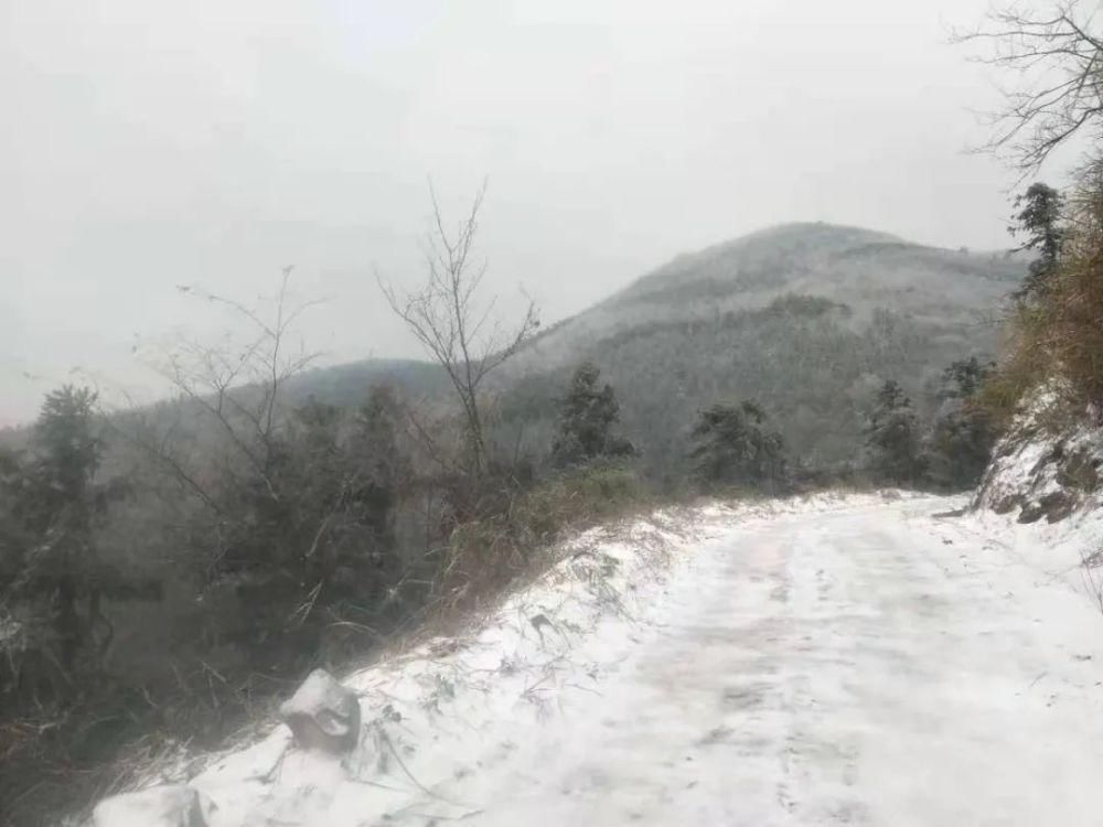 朋友圈|今天，湖口的朋友圈被下雪刷屏！这里积雪厚达3cm！超美~~