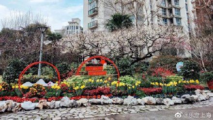 榆叶梅|上海的这座小众公园又靠颜值抢镜了
