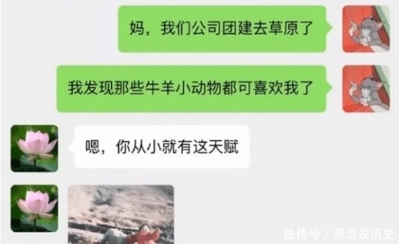  招架|“孙悟空刀枪不入，为什么还用金箍棒招架敌人的武器？”哈哈哈神回复亮了！