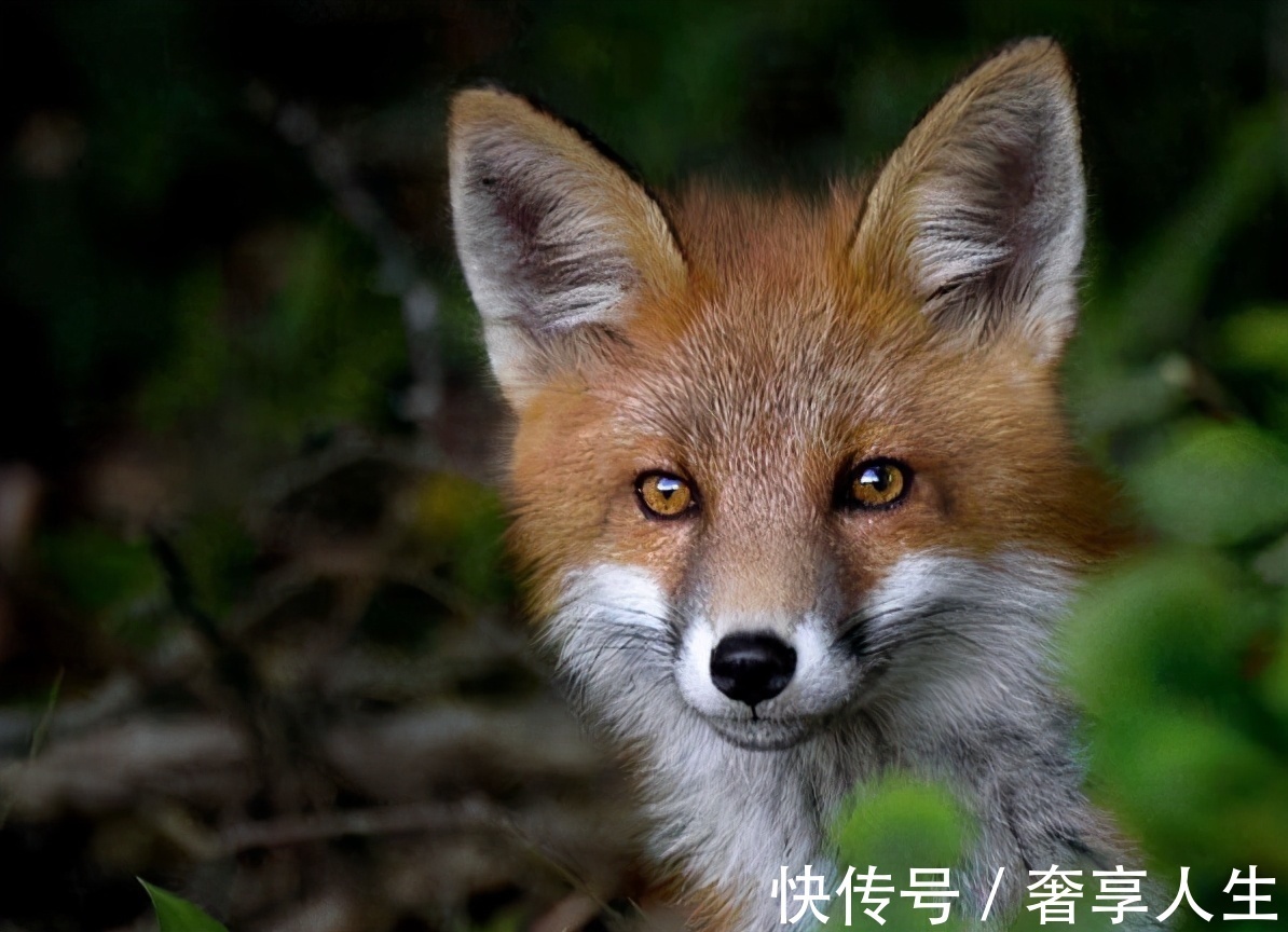 租赁|对待珠宝有两种态度,正确选择让聪明女人更加得心应手