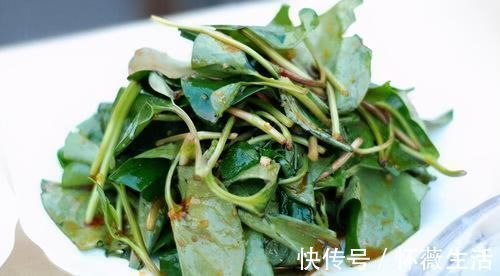 果蔬菜|人到中年想长寿,常吃3种食物,排毒养颜,疏通血管,刮油消脂