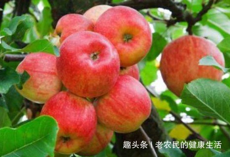 维生素b|每天早上空腹吃一个苹果，对身体好处多，但有2类人不适宜吃