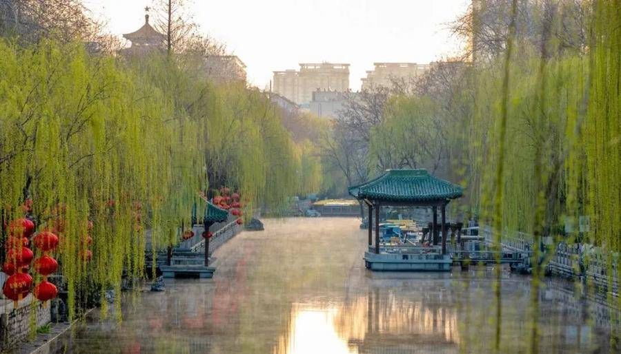 荷花|这座齐鲁古城已美了上千年，四季绚烂皆美景！没来过就太遗憾了