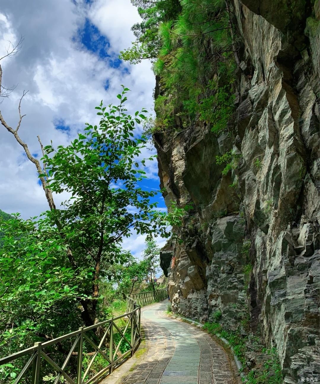 靓丽的一道自然风景