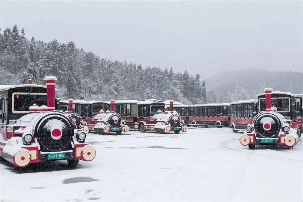 1小时飙拢！去重庆看雪！云海雪山森林，下山还能泡温泉！