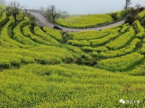 这就是我想去的地方—江岭