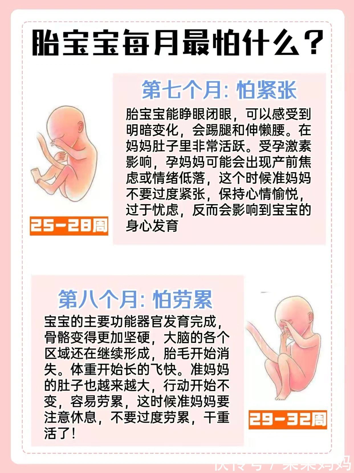分娩|准妈妈必看孕十月胎儿发育特点及注意事项