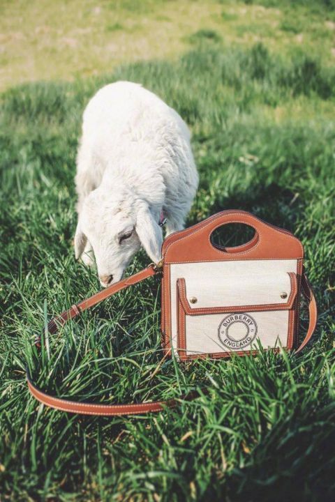 少少钱就能穿出好质感,这个颜色太神奇了