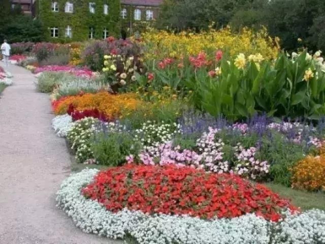 这才是花园应有的样子！