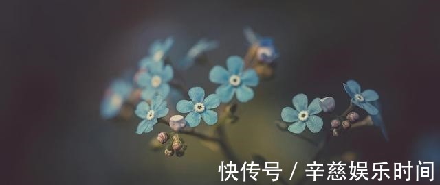 水瓶座|永远无法征服的三大星座，生来骄傲，充满血性，且从不依靠任何人