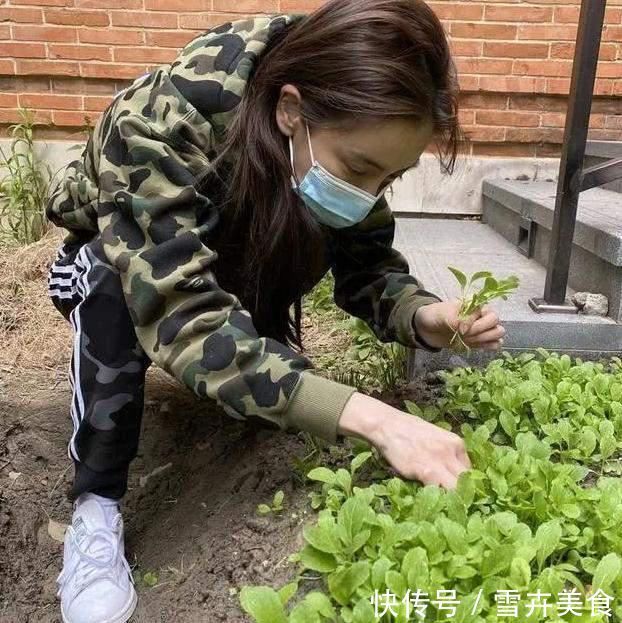 育儿|杨颖“接地气式”育儿,日常带孩子下地劳作,富养而不娇养