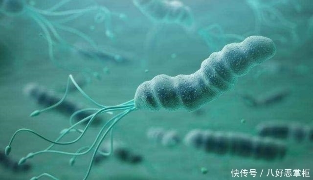 胃痛|幽门螺杆菌怕1种水，你若爱喝，胃痛胃酸远离你，胃越来越好