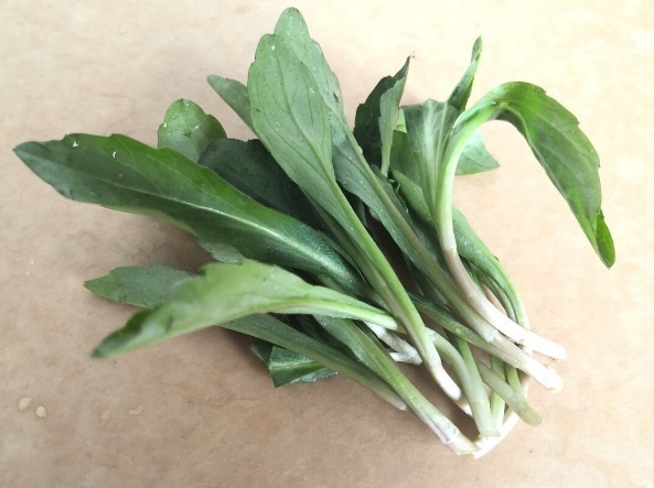 凉拌|65种野菜图片，带你认识不同的野菜和吃法，你想要的野菜这里都有